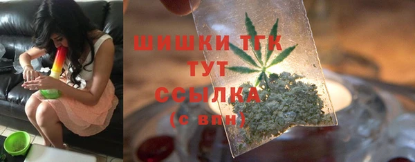 a pvp Пересвет