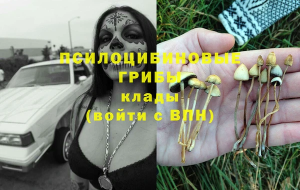 COCAINE Абаза