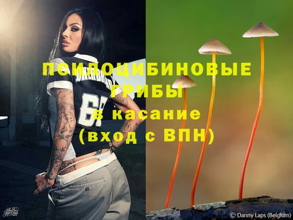 spice Абинск
